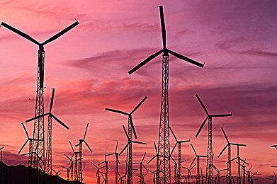 第一人称心理恐怖游戏《怪物DNA》现已推出试玩Demo 预计2025年正式推出